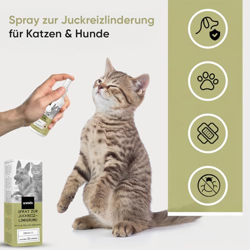 animigo Anti Juckreiz Spray - 250ml Fellpflege - Für Hunde & Katzen - Mit Aloe Vera, Teebaumöl, Nelkenöl, Glyzerin, Rizinusöl, Hexandiol - Für alle Altersgruppen - Hundespray gegen Juckreiz