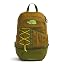 Forest Olive/Moss Green