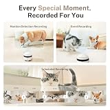Enabot EBO ROLA Mini FamilyBot,2K Haustierkamera-Roboter,Bewegliche Innenkamera mit Akku und Telefon-App, One-Touch-Anruf, 2-Wege-Audio, IR-Nachtsicht, Bewegungserkennung, Videoaufzeichnung