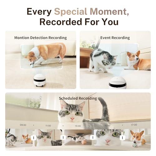 Enabot EBO ROLA Mini FamilyBot,2K Haustierkamera-Roboter,Bewegliche Innenkamera mit Akku und Telefon-App, One-Touch-Anruf, 2-Wege-Audio, IR-Nachtsicht, Bewegungserkennung, Videoaufzeichnung