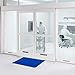 YAHEA Cleanroom Sticky Mats 2 Pack, Blue 24''×36'' Construction Tacky/Adhesive Floor Mats for Laboratory Hospital Construction Pet, 40 Microns(30 Sheets Each)