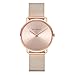 PAUL HEWITT Reloj de muñeca para Mujer en Acero Inoxidable Miss Ocean Rose Sunray - Reloj de Pulsera de Acero Inoxidable en Oro Rosa, Reloj de muñeca para Mujer con Esfera en Oro Rosa