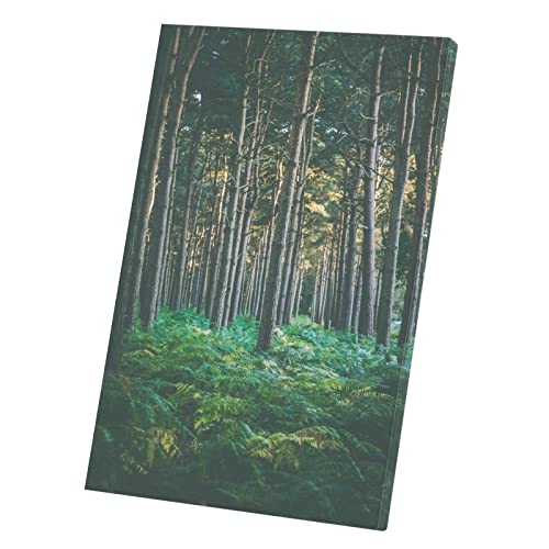 Toile imprimée forêt de pins : affiche paysage pour grand bol d'air