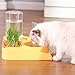FEESHOW 3-in-1 Cat Water Dispenser and Food Bowl Set Gravity Fed Bottle Built-in Cat Grass Planter Slow Feeder for Indoor Cats Yellow One Size