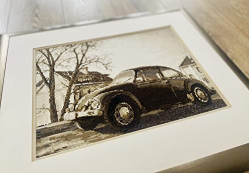 Riolis - The Beetle - Counted Cross Stitch Kit 15"X10.25" Zweigart 14 Ct. White Aida 9 Colors #TOP1