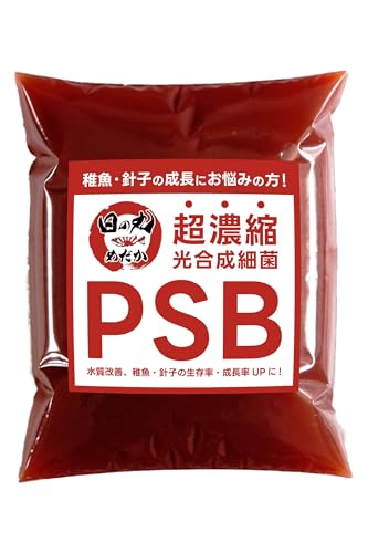 PSB ׋ Zk ẙۂ߂z _J t a i500mlj L@ Zx P jq  UP