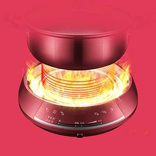 Olla Eléctrica Multifunción PNAWLLCF 4.5L 300W miniatura 6