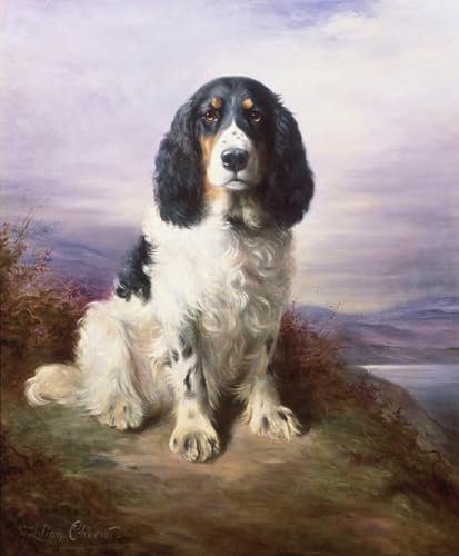Cuadro de Lienzo Royal Springer Spaniel para Crear un Ambiente Acogedor en el Hogar