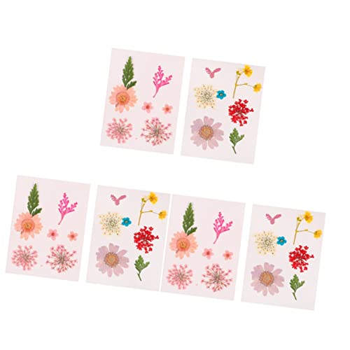 EXCEART 6 Conjuntos De Espécimes Acessórios Para Unhas Prensadas Arte Para Decorações Secas Flores D
