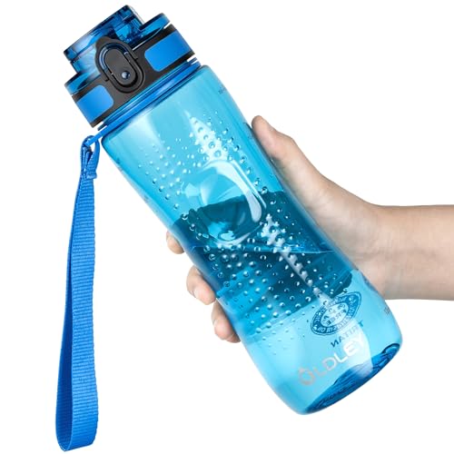 OLDLEY 750ml/25oz Sports Water Bottles, BPA Free Drinking Bottles for School Plastic Reusable Clear Water Bottle Leakproof & Filter & No Straw & Time Markings for Gym Sports Cycling (Transparent Blue)