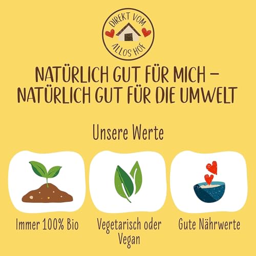 Allos Fruchtriegel Mango, Bio Riegel mit Datteln und Cashewnüssen, Energieriegel, Sportriegel, Snack für die Schule, Pause, Vegan, Glutenfrei, 25 x 40g