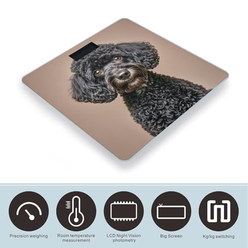Báscula Digital con Diseño Cute Black Pug, Vidrio Templado miniatura 3