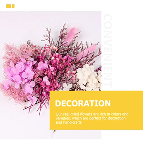 HOMSFOU Flores Secas Naturais DIY Margaridas Folhas Hortênsias Múltiplas Flores Prensadas Naturais F