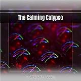  Atlanta Rhythm Section