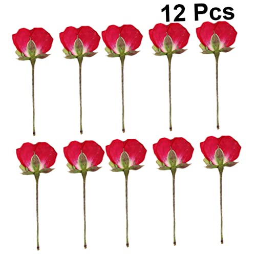 VILLCASE 12 Pçs Flores Secas Prensadas Materiais De Scrapbook Materiais Para Uñas Preservando Flores