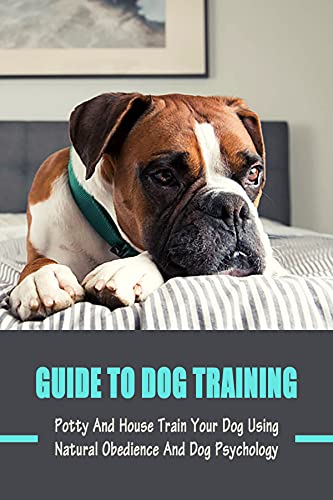 dog trainer store