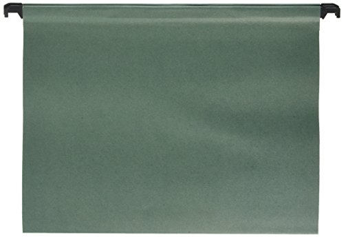 Carpetas colgantes A4 (10 unidades)