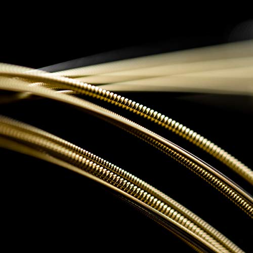 Image of Martin Authentic Acoustic Guitar Strings- Superior Performance Light (Pack of 2)
