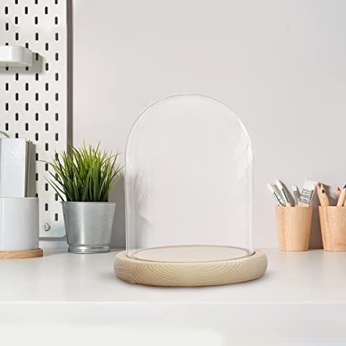 BELLE VOUS Glass Dome Cloche Bell Jar with Natural Wooden Base - 16.2cm / 6.38 Inches Tall - Clear Decorative Tabletop Display Case with Tray for Fairy Lights, Centrepieces and Antiques