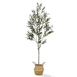 VERDANT HAVEN - Olivo sintético de 7 pies – Maceta de mimbre incluida – Olivos artificiales para interiores para decoración de tu hogar, ideal como decoración de