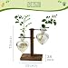 XXXFLOWER Plant Terrarium Wooden Stand, Hydroponic Planter Bulb Glass Metal Swivel Holder Retro Air Plants Water Plants for Home Office Decoration,Gifts for Plant Lover Wife Mom- 2 Love Bulb Vase
