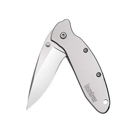 Kershaw Scallion Stainless Pocketknife, 2.4" 420HC Steel Drop Point Blade, Assisted Open with Flipper, Liner and Tip Lock, Single-Position Pocketclip #1