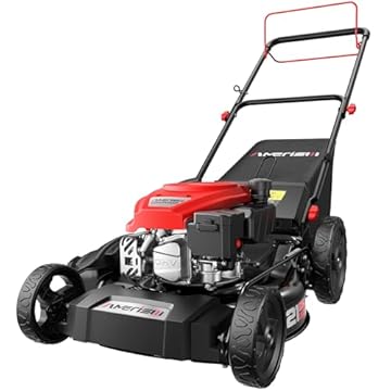 best toro push lawn mower