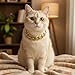 Larrel 2 Pcs Cat Chain Collar, Adjustable Lightweight PET Chain for Cat Exquisite Pet Stylish Decorative Accessory for Small Cats Dogs(Gold, Rose Gold)