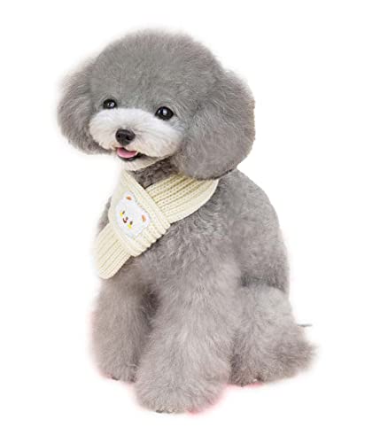  }t[ ~ h  jbg ̕ H~ L ^ ^ ybgpi PetGround (zCg,M)