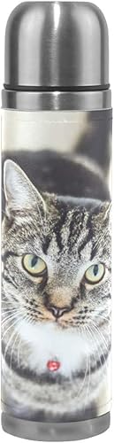 ۔LqLEH[^[{gXeXX`[v͒fM^tXR[Nv[tU[pbLOT[Xۉۗ500ml [sAi]