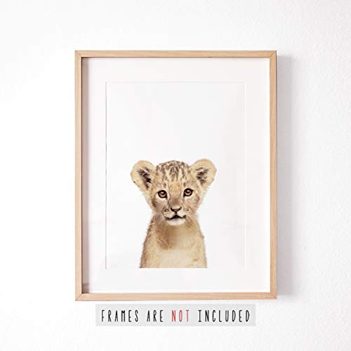 L'amour Fou Set Of 6 Baby Animal Nursery Prints 8"X10" (Unframed) (6 Safari Prints) #TOP4