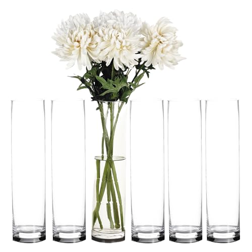 Craft and Party Cylinder Glass Vase, 6 Pack 20