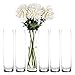 Craft and Party, Sets of 6, Clear Cylinder Vases, 4" Diameter Opening. (6, 20")