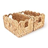 ByteX Scalloped Basket Set (2 Large Baskets) Water Hyacinth Wicker Storage Baskets for Nursery & Kids Books | Decorative Scalloped Edge Rattan Style Book Basket for Toys, Shelves & Decor
