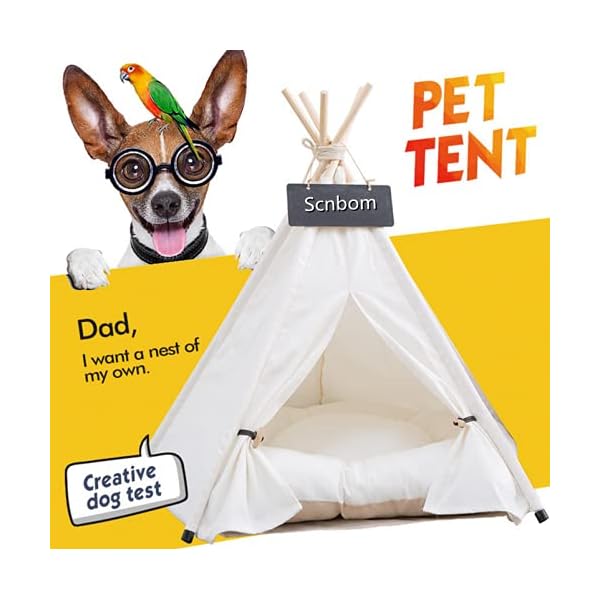 Scnbom Pet Teepee for Small Dogs or Cats Portable Tent Puppy Sweet Bed Washable Dog or Cat Houses with Cushion (Size fits 11 pounds (Pets Below)) Scnbom Pet Teepee for Small Dogs or Cats Portable Tent Puppy Sweet Bed Washable Dog or Cat Houses with Cushion (Size fits 11 pounds (Pets Below))