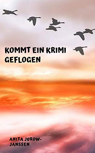 Kommt ein Krimi geflogen: 1.) Nur ein kleines Haus 2.) Falscher AugenBlick (German Edition)