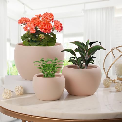 Image of Elegant Cream Matte Finished Tabletop Planters Pots for Plants Flowers, Living Room Drawing Room Balcony Office Decoration Ideas for Plants Set of 3 (Plants not Included)
