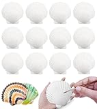 YRUHAN Muscheln zum Basteln, Muscheln zum Bemalen, Weiße Jakobsmuscheln, Kreative Handarbeit, Natürliches Material, DIY Malerei, Geeignet für Bastelarbeiten, Hochzeitsdekoration (10-11CM)