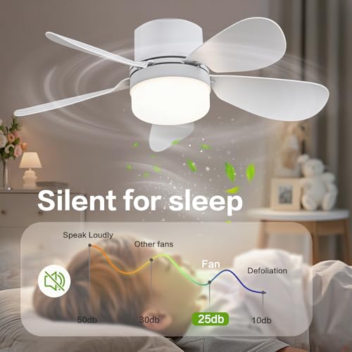 ASALL Socket Fan Light with Remote Control, Portable Small Ceiling Fan with Lights for Bedroom, Kitchen, Living Room, with Dimming Function, 1000 Lumens, Screws into E26/E27, 16.54 Inches Diameter by ASALL - Image 5