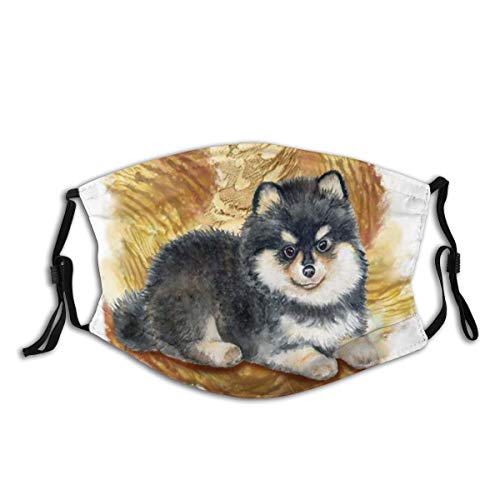 Preisvergleich Produktbild MUYIXUAN Gesichtsbedeckung,Gezeichnete Skizze Pomeranian Spitz Beauty Puppy Pet Nette Farbtiere Wildlife,Sturmhaube Wiederverwendbare Winddichte Anti-Staub-Mund Bandanas Halsmanschette mit 2 Filtern