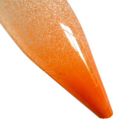 TOPtoper Brine Shrimp Eggs (Artemia Cysts) of 90% Hatch Rate Fish Food