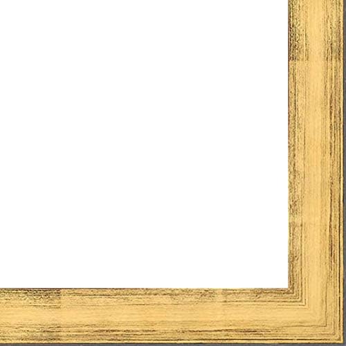 Picture Frame Moulding (Wood) 100ft Bundle - Contemporary Gold Finish - 1.125" Width - 1 5/8" Rabbet Depth