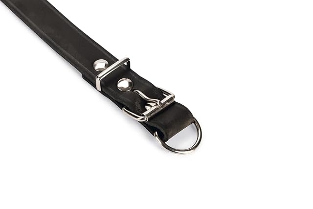 Foto 2 de 3 de Karlie 01922 Rondo Collar Piel, Negro, 25 mm x 52 cm, M