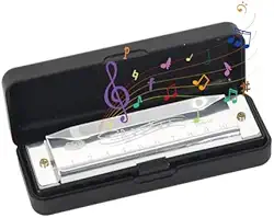 Gaita C maior de 10 furos com capa, para iniciantes e profissionais