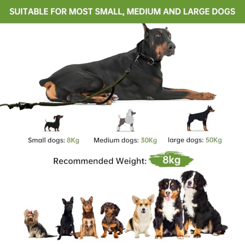 vsshe Freihandleinen Hundeleine, 2.5m Joggingleine Hunde, Verstellbarer Hüftgurt & Dehnbare Bungee-Leine, Lange Hundeleine mit Sicherheitsschnalle & Reflektierenden Nähten für Klein Mittel Groß Hunde