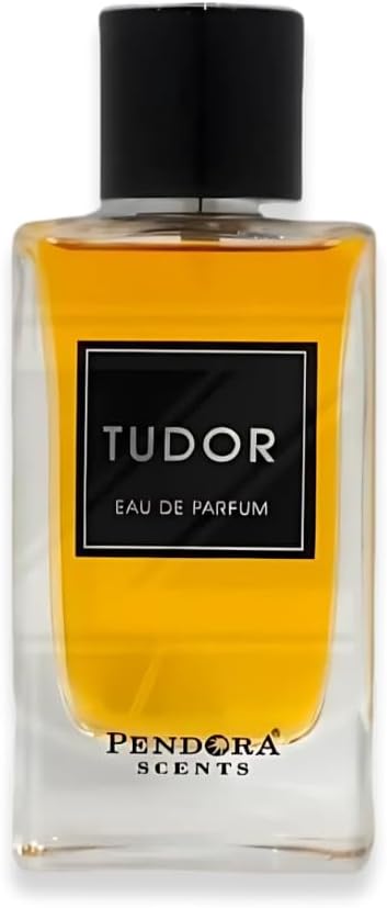 TUDOR Men’s Perfume 3.4 Fl Oz EDP Perfumes