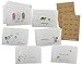 Summer Collection Thank You Cards - 24 Cards & Envelopes