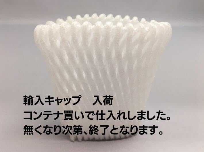 Amazon.co.jp: 【輸入】 在庫限り フルーツキャップ W-7 白【ダブル 