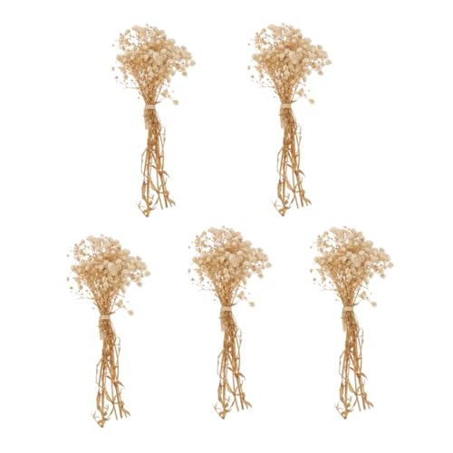 5 Ramos de Flores Secas Gypsophila Decoración Natural miniatura 1