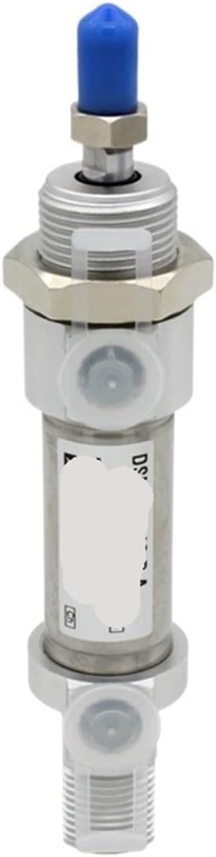 DSNU32 Series Round Mini Stainless Steel Pneumatic Cylinders DSNU-32-50-PA DSNU-32-100-PA DSNU-32-300-PA Stroke 10-300mm(DSNU-32-300,-PPV-A)